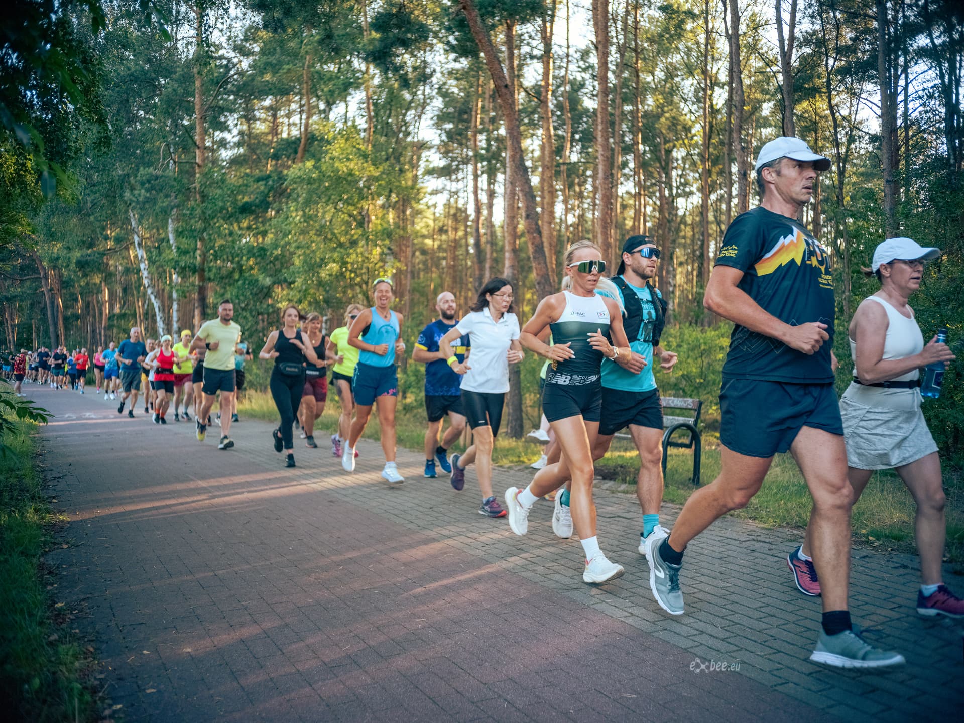 Peleton Run Clubu biegnący wśród sosen w złotym świetle